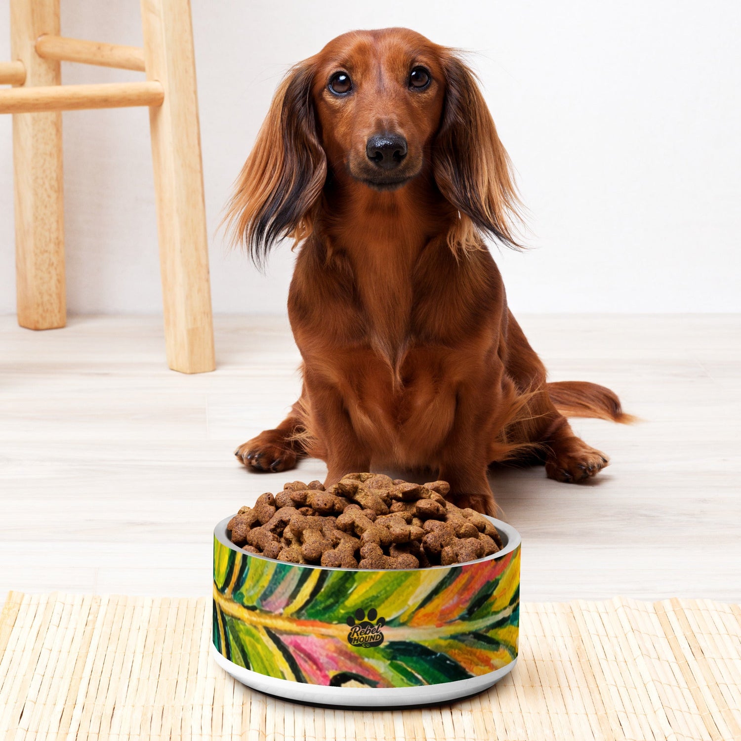 Pet Bowls - Best Sellers